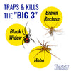 TERRO Insect Trap 4 pk (Pack of 24)