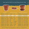 Bloem Llc 50006C 6" Terra Cotta Planter