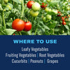 BioAdvanced Ready-to-Use, Tomato & Vegetable Insect Killer Spray 24 oz