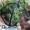 NuVue PestGuard Black Plant Protector 25 in. L x 25 in. W