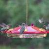 Perky-Pet Hummingbird 16 oz Plastic Dish Nectar Feeder 6 ports