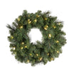 Celebrations Platinum 26 in. D LED Prelit Warm White Mixed Pine Wreath