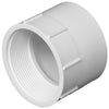 Charlotte Pipe Schedule 40 2 in. Hub X 2 in. D FPT PVC Pipe Adapter 1 pk