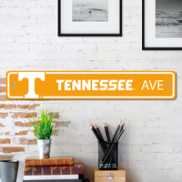 Team Color Street Sign D�cor 4in. X 24in. Lightweight