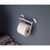 Delta 5 in. L Polished Chrome Stainless Steel Toilet Paper Holder with Assist Bar