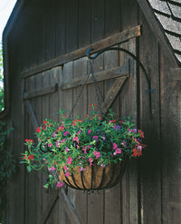Panacea Black Powder Coated Iron Wall Mounting Curved Plant Hook 16 H x 1/4 W x 16 D in.