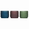 TIKI Assorted Lavish Woodland Scent Frosted Votive Candle 9 oz (Pack of 12)