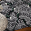 Celebrations Classic LED T5 Pure White 100 ct String Christmas Lights 25 ft. (Pack of 12)