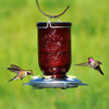 Perky-Pet Hummingbird 32 oz. Glass Nectar Feeder 5 ports (Pack of 2)