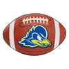 University of Delaware Football Rug - 20.5in. x 32.5in.