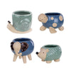 Avera Products Ceramic Animal Succulent Pot Assorted (Pack of 12)