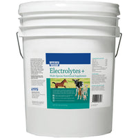 Electrolytes Plus Multi-Species Supplement