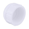 Charlotte Pipe Schedule 40 1/2 in. FPT x 1/2 in. Dia. FPT PVC Cap (Pack of 25)