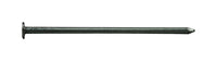 Pro-Fit 2 in. Box Bright Steel Nail Flat Head 1 lb