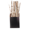 Second Nature Natural Birch Pole Indoor Christmas Decor 32 in. (Pack of 20)