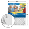 AAF Flanders NaturalAire Polyester Synthetic Pleated Air Filter 25 H x 20 W in. (Pack of 12)