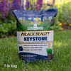 Jonathan Green Black Beauty Keystone All Grasses Sun or Shade Grass Seed 7 lb