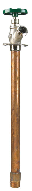 Arrowhead 3/4 in. MHT X 3/4 in. MIP Brass Hydrant