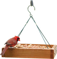 3-In-1 Platform Feeder, 3-Lb.