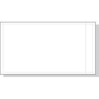 Clear Face Packaging Label Envelope
