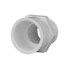 Charlotte Pipe Schedule 40 PVC Pipe Adapter 3/4 in. Dia. 480 psi (Pack of 25)
