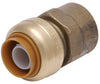 SharkBite 3/4 in. Push X 3/4 in. D FPT Brass Connector