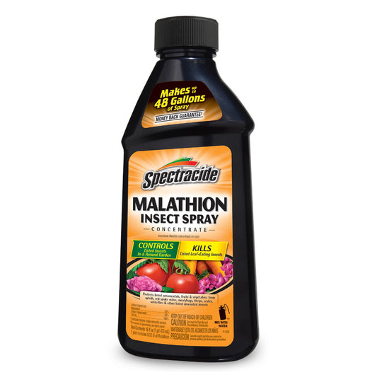 Spectracide Malathion Liquid Concentrate Outdoor Odorless Insect Killer 16 oz.