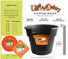 Bloem Ups-A-Daisy Orange Plastic 1 in. H Round Plant Insert 1 pk