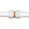 Apollo Expansion PEX / Pex A 1 in. Expansion PEX in to X 1 in. D PEX Brass Coupling
