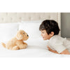Warmies Golden Dog Stuffed Animals Brown