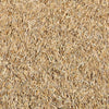 Jonathan Green Black Beauty Ultra Supreme Grass Seed Blend, 1 lb.