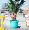 Bloem Mingo Pink Plastic/Resin 20.4 in. H Flamingo Outdoor Decoration