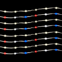 Living Accents LED Big Seed Cluster Cluster Light Set Multicolored 14.4 ft. 250 lights