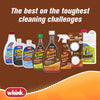 Whink No Scent Rust Stain Remover 24 oz Foam