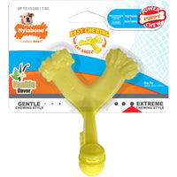 Nylabone Puppy Chew Axis Bone