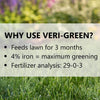 Jonathan Green Veri-Green Lawn Food All-Purpose Lawn Food For All Grasses 5000 sq ft
