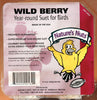 Natures Nuts 00162 11.5 Oz Wild Berry Suet (Pack of 12)