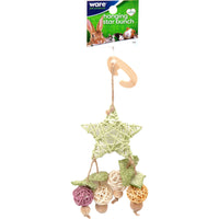 Hanging Star Bunch