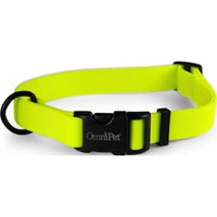 Carnival Biothane Dog Collar