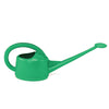 Dramm Green 2 L Plastic Long neck Watering Can