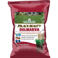 Black Beauty Delmarva Grass Seed Mixture