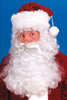 Fun World Santa Wig & Beard Set 1 pk