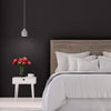 Rust-Oleum Sure Color Eggshell Black Water-Based Paint + Primer Interior 1 gal (Pack of 2)