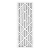 Flanders 14 in. W X 20 in. H X 2 in. D 10 MERV Pleated Air Filter 1 pk (Pack of 12)