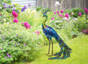 Alpine Multicolored Iron 27 in. H Peacock Statue