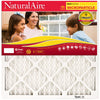 NaturalAire 16 in. W x 25 in. H x 1 in. D Synthetic 10 MERV Pleated Microparticle Air Filter (Pack of 6)