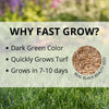 Fast Grow Grass Seed 25 Lb