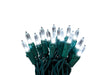 Celebrations LED Mini Cool White 100 ct String Christmas Lights 24.5 ft. (Pack of 12)