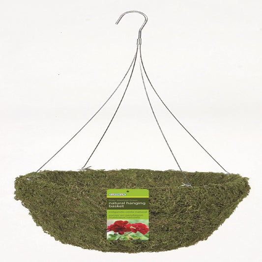 Gardman 14 in. D Natural Fiber Sphagnum Moss Hanging Basket Green