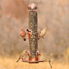 Perky-Pet Wild Bird and Finch 1.8 lb Copper 2-in-1 Bird Feeder 4 ports (Pack of 2)